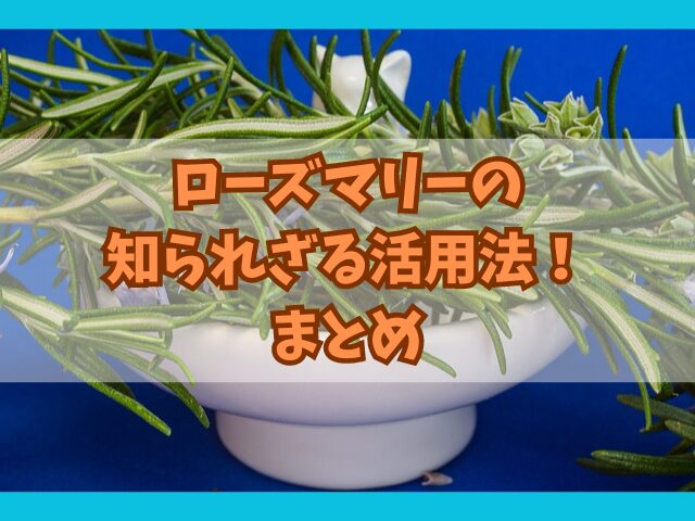 ローズマリーの知られざる活用法！料理と2つの意外な使い方を紹介！